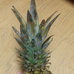 [댓글부탁해] 너네두 등교할때 <b>공책</b>말고 다른거 받아본적 있니