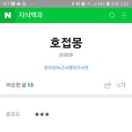 [방탄소년단] 이번 앨범 궁예..내가 생각해본 컨셉은 호접몽