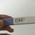 이거 임신 맞아요?
