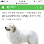 다이어트 중인데 치킨 먹었는데 어떡하냐