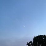 [이것좀봐줘] 내일 도로<b>주행</b> 시험 ㅠㅠㅠㅠ 떨려