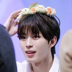 [드루와] 젤리피쉬 비주얼 진짜 내취향이야