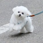 [댓글부탁해] <b>각자</b> 동아리 좋은 거 뭐야?