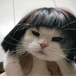 [드루와] 얘들아 나 너무 못생겨서 삶의이유가없어