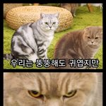 [드루와] 야 나 <b>짝</b><b>남</b> 번ㄴ호땃어ㅠㅠㅠ