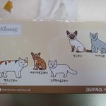 <b>휴지</b> 귀여워ㅠㅜ