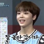 [엑스원] 오늘 <b>호빵</b> 맢톡에 마피아 소리질러~는 너무