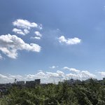 [댓글부탁해] <b>고속</b>버스 잘 아는사람