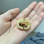 아니 <b>홈런</b>볼 실화임?