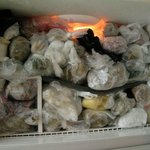 흙수저 냉동실 특징 Real <b>Fact</b>