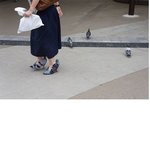 [조언부탁해] 비둘기 <b>하이힐</b>