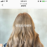 이 머리이름이 뭐야?