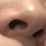 [댓글부탁해] 콧구멍 <b>평수</b> 대결뜰사람