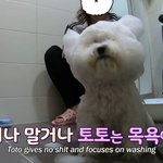[댓글부탁해] 조거<b>팬츠</b> 살건데 !!!!!!