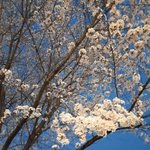 [잘살꺼다] 나에게보내는 9월달 편지