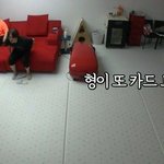 아이돌 최고 권위자 김희철ㅋㅋㅋㅋㅋㅋㅋ