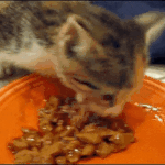 [EXO] 커플중 <b>일방</b>이 맘 떠나면