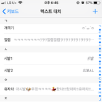 아이폰 텍스트<b>대치</b> 문구