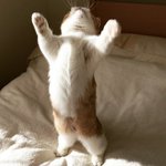 나 립제품좀 도와줘ㅠ