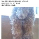 [댓글부탁해] 제일 친한 친군데 안읽씹 오져