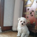 점점 미모에 물오르는 우리둥이..