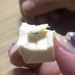 [이것좀봐줘] 벨큐브 치즈에서 벌레가 나왔습니다 ㅠㅠ