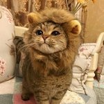 [드루와] <b>뷰러</b> 너무 바짝올리면 별로지않아?