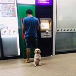[댓글부탁해] 주인 <b>걱정</b>말고 <b>돈</b> 뽑아