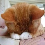 피부과 끊은지 1년이나 됐어요!!!