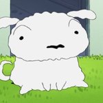 솔직히 주변애들 정신<b>연령</b>만낮아져도