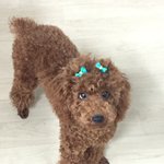 2탄) 너 눈을 왜 그렇게떠? 대박이!!