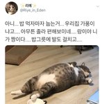 [댓글부탁해] 너네 <b>짜파구리</b> 혼자 다 먹을수 있음?