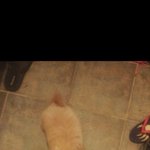 <강아지> 인형같던 아이의 역변 <b>story</b>..3편.(역변해도 귀여워)