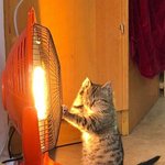 [드루와] 폰케이스 색깔 골라주면 진짜 예뻐짐