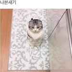 [댓글부탁해] 라면 뭐먹지