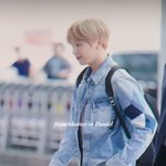 [강다니엘] <b>청청</b>은 진리