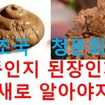 입으로 먹어봐야 알수 있나?...조국청문회 (<b>ft</b>.룰라.비밀은없어)