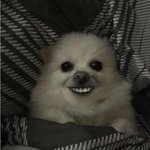 뭐랄까 좀 존같은 애니 없으까??