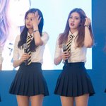 여기 <b>입양</b>인 애들있어?