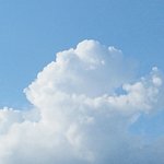 쿠캣에서 음식ㅅㅣ켰는데 아직도 안<b>옴</b>