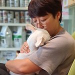 [강아지] 사상충 후유증으로 <b>생사</b>를 넘나들고 있습니다