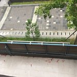 고추말려둔 거 다 날<b>아다</b>님..