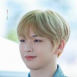 [강다니엘] 강다니엘 <b>온도</b>차 (·•︠‿•︡ )
