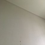 셀프로 <b>벽지</b> 칠해본 판녀 들어와뵤ㅏㅠ