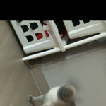 우리집 선풍기 보여줄깡