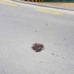[댓글부탁해] 이번 <b>태풍</b> 역대급 피해