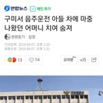 [댓글부탁해] 음<b>주운</b>전충의 최후..