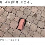 [드루와] 강남 사는 애들 어느정도 잘 사는거 아님?