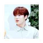 [프듀X] <b>윤성</b>이 짤 좀 주겠니