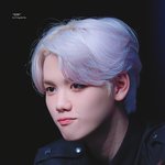 [댓글부탁해] <b>섬유</b>탈취제 ㅊㅊ좀